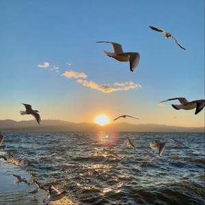 男生Gay自慰脱裤子㊙️
